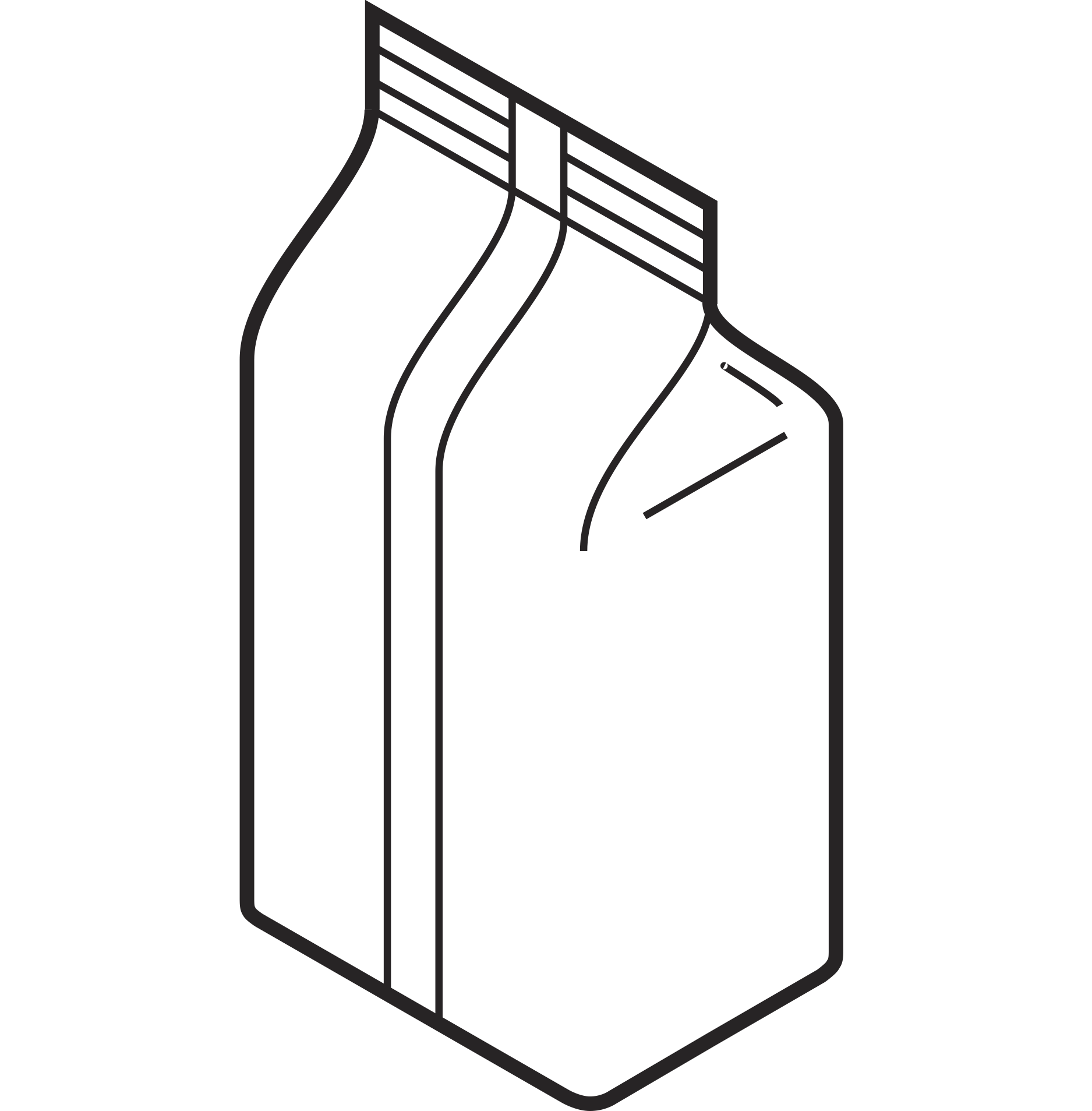 Flat Bottom Bag