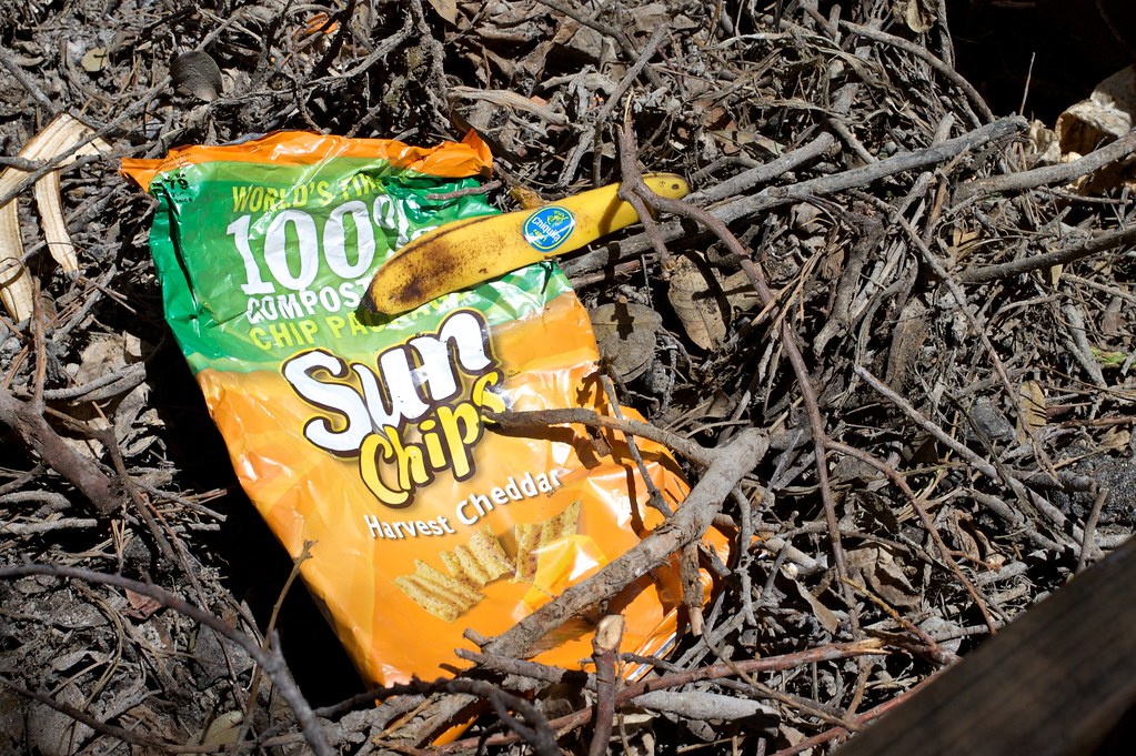 sunchips_biodegradable_bag.jpg